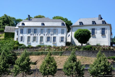 Musée Ducal