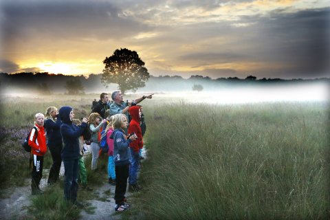 Het Nationale Park De Hoge Veluwe