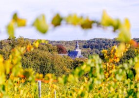 Maison du Tourisme Terres de Meuse - les actus du mois de Mai.